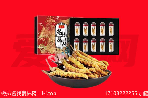 乐陵市回收虫草.jpg